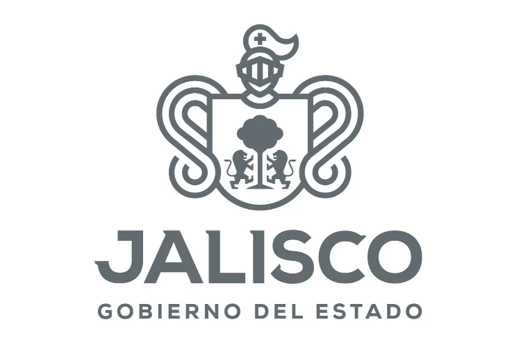 Bordado en Guadalajara